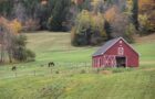 Seed monopolies: Who controls the world's food supply? 18 farm barn