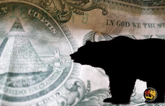 dollar bear collapse