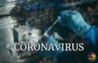 Hebrew U. scientist: Drug could eradicate COVID-19 from lungs in days 8 coronavirus worthy news