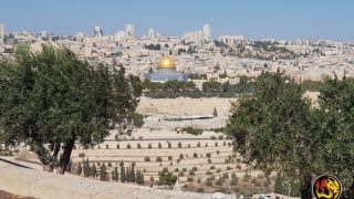 temple mount jerusalem worthy news