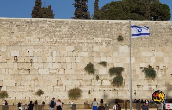 Torah Ceremony In Jerusalem Marks October 7 Day of Mourning 15 western wall jerusalem