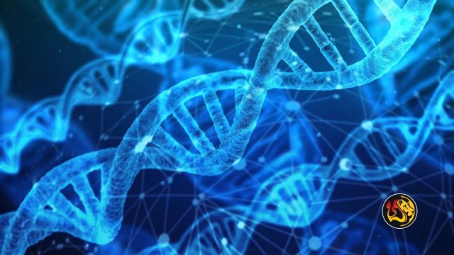 dna worthy ministries