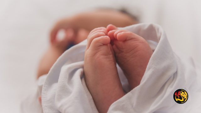baby pro life worthy ministries