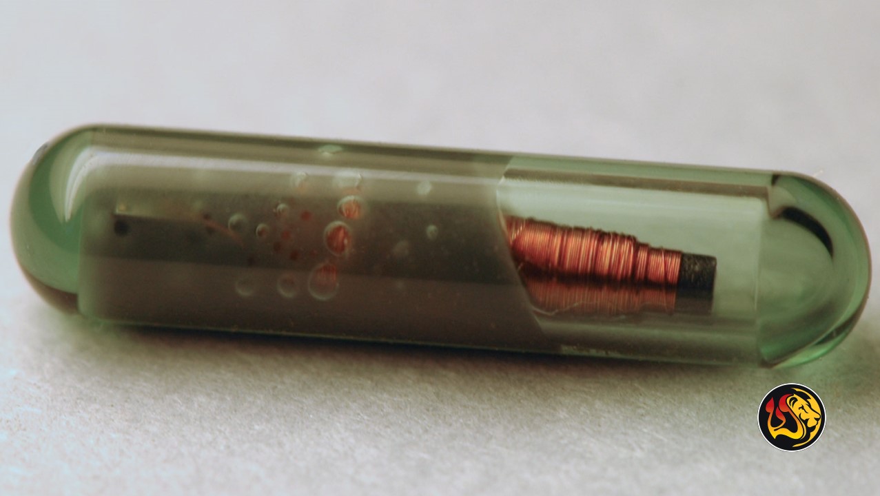 World Economic Forum: 'Rational Reasons' to Microchip Kids 18 microchip implantable chip worthy ministries