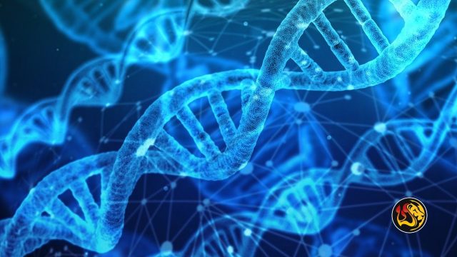 dna 2 worthy ministries