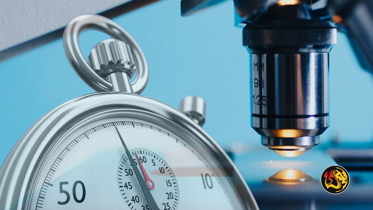 Israeli Scientists Develop Pioneering Immunotherapy Approach To Treating Cancer More Effectively 18 research microscope experiment worthy ministries