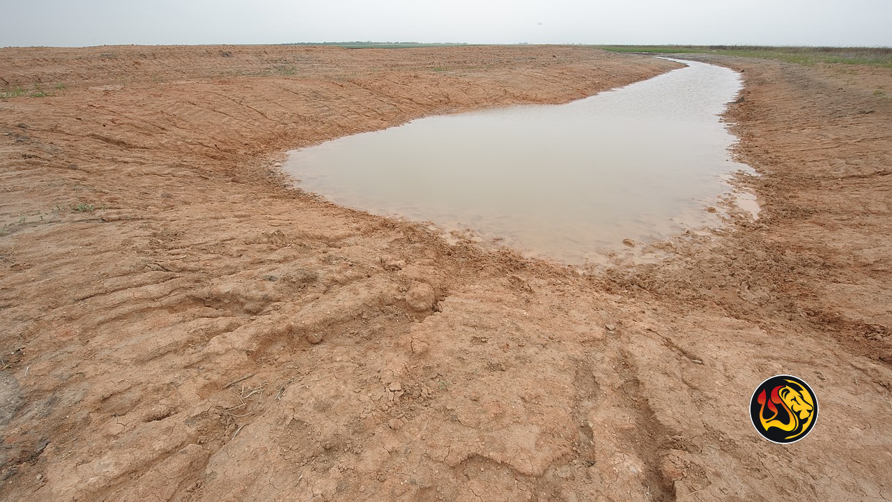 East Africa drought: UN warns of looming humanitarian crisis as millions in Kenya, Somalia and Ethiopia face severe hunger 16 drought worthy ministries