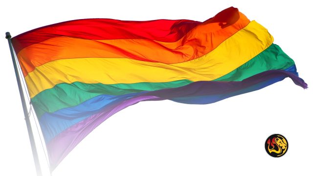 U.S. Embassy in Israel to Boycott Tel Aviv Pride, Aligns with Trump Administration's Shift Toward Traditional Values 11 gay pride flag