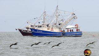 fishing boats gulf of mexico worthy ministries