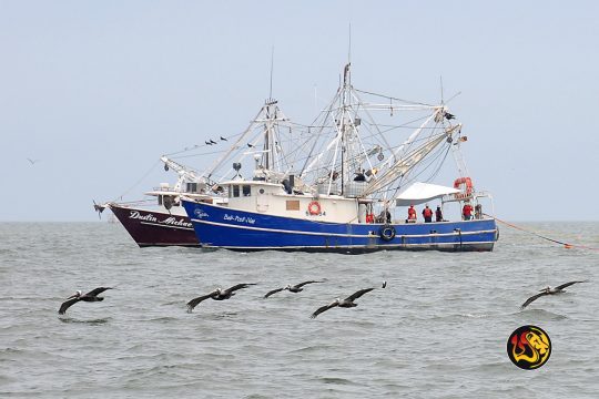 fishing boats gulf of mexico worthy ministries