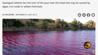 dead sea turns blood