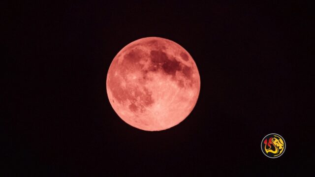 strawberry moon worthy ministries
