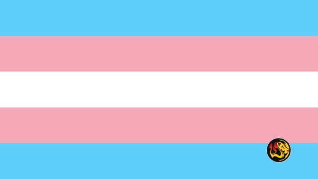 Detransitioner Oli London Credits Jesus, Church With Stopping Trans Surgeries: 'I Was…Very Lost' 17 transgender-flag
