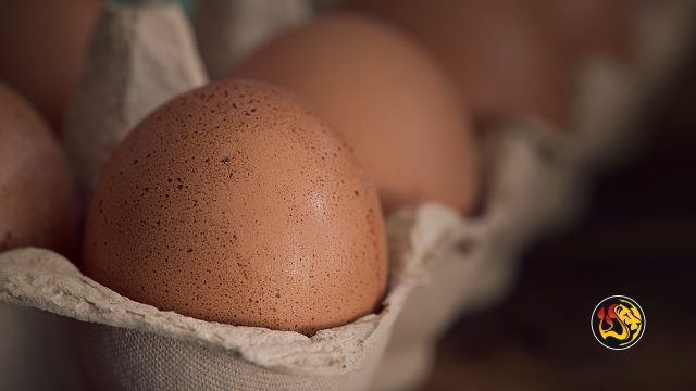 eggs pd pxhere worthy ministries