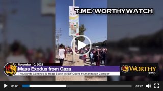 Gaza Mass Exodus