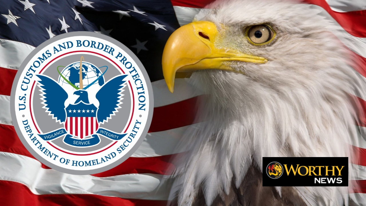 customs border patrol flag eagle dept customs border patrol