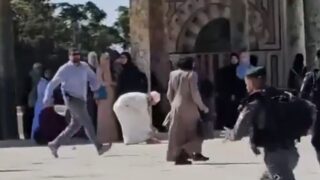 Priests Attempt "Two Loaves" Shavuot Offering on Temple Mount for First Time in 2,000 Years 1 shavout offering